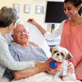 An elderly couple visits with a therapy dog in a hospital setting while a volunteer looks on.